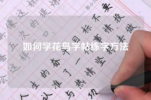如何学花鸟字帖练字方法